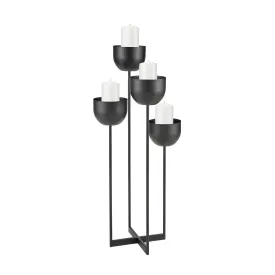 Tulip Decorative Accessories