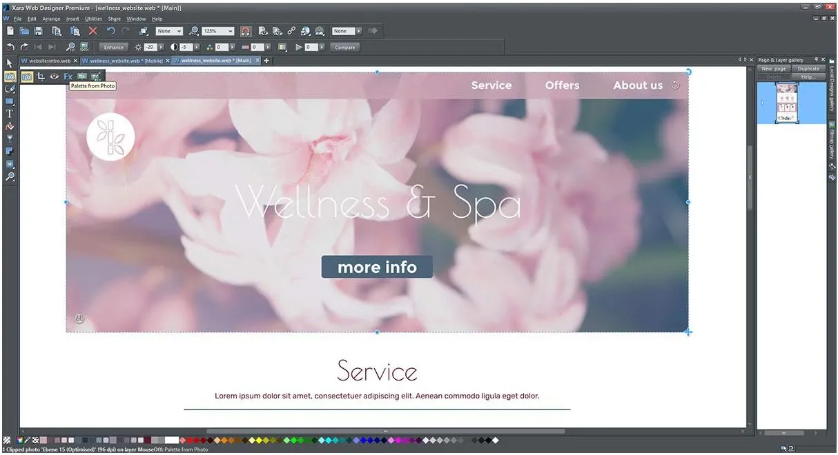 Web Designer Premium  16  Create your own professional websites [PC Download]
