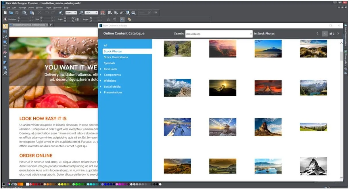 Web Designer Premium  16  Create your own professional websites [PC Download]