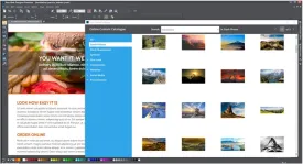 Web Designer Premium  16  Create your own professional websites [PC Download]